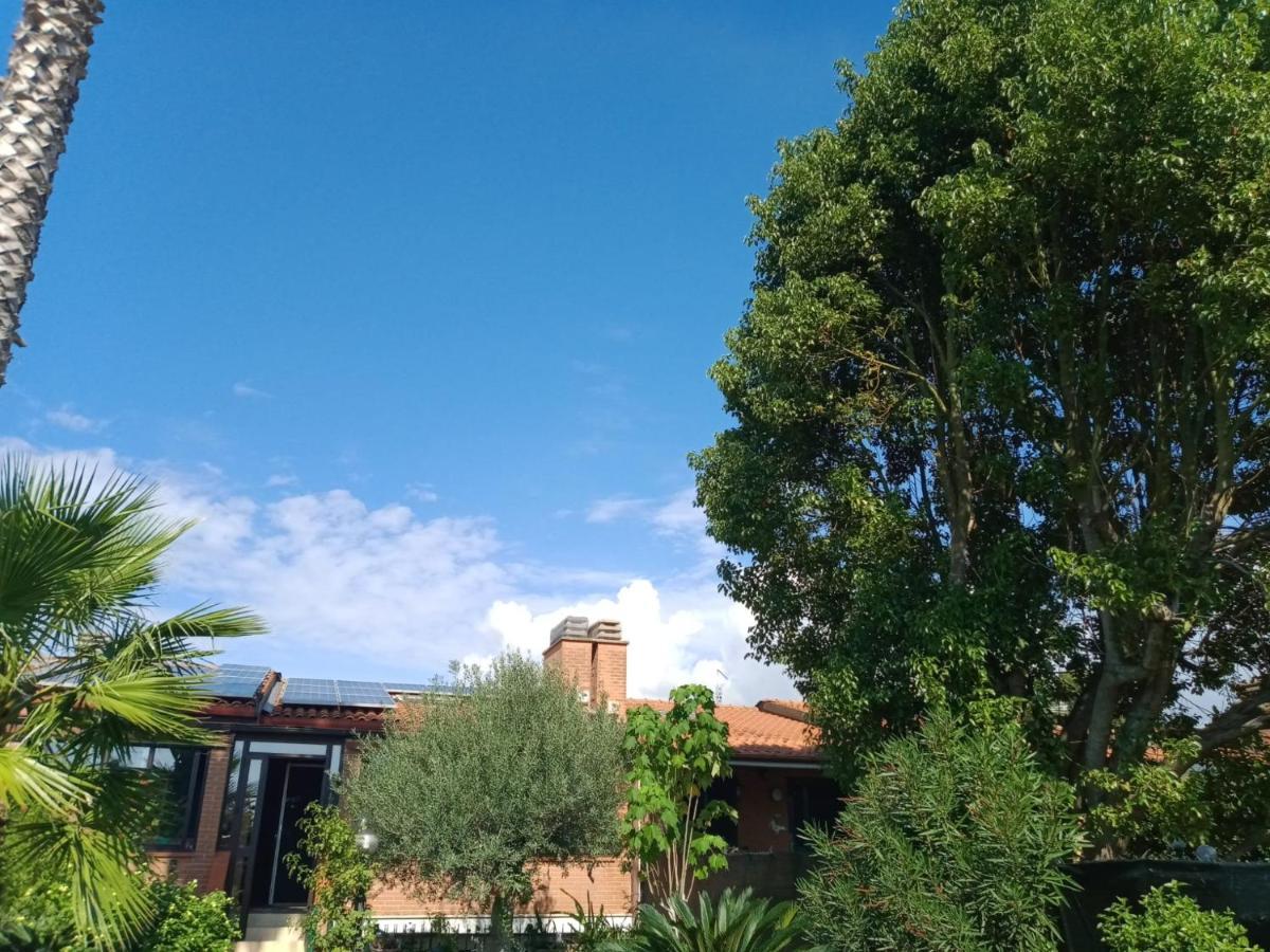 Appartamento Signorile, Luminosissima Vista Mare Fregenae Exterior photo